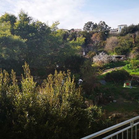 Appartement Rue Colonella Proche Citadelle Bastia  Bagian luar foto